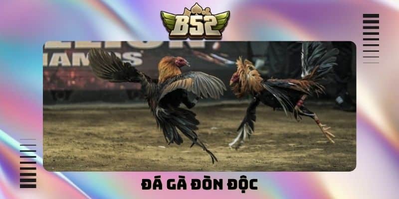 đá gà đòn độc