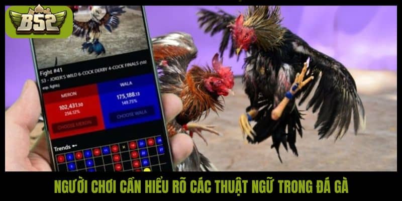 Người chơi cần hiểu rõ các thuật ngữ trong đá gà