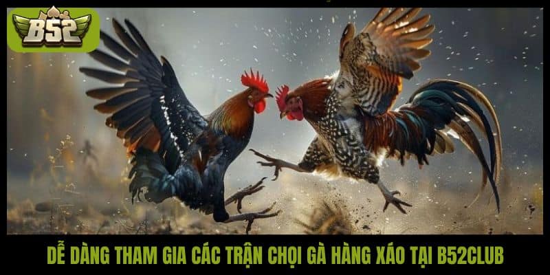 Dễ dàng tham gia các trận chọi gà hàng xáo tại B52Club